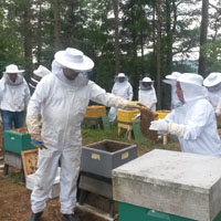 Birøktere på nybegynnerkurs